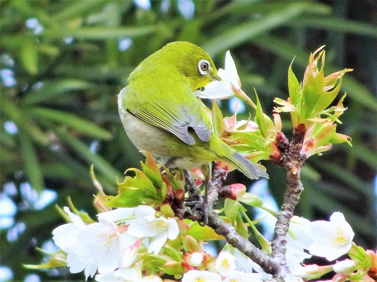 הוילה Oshima ホライゾン מראה חיצוני תמונה